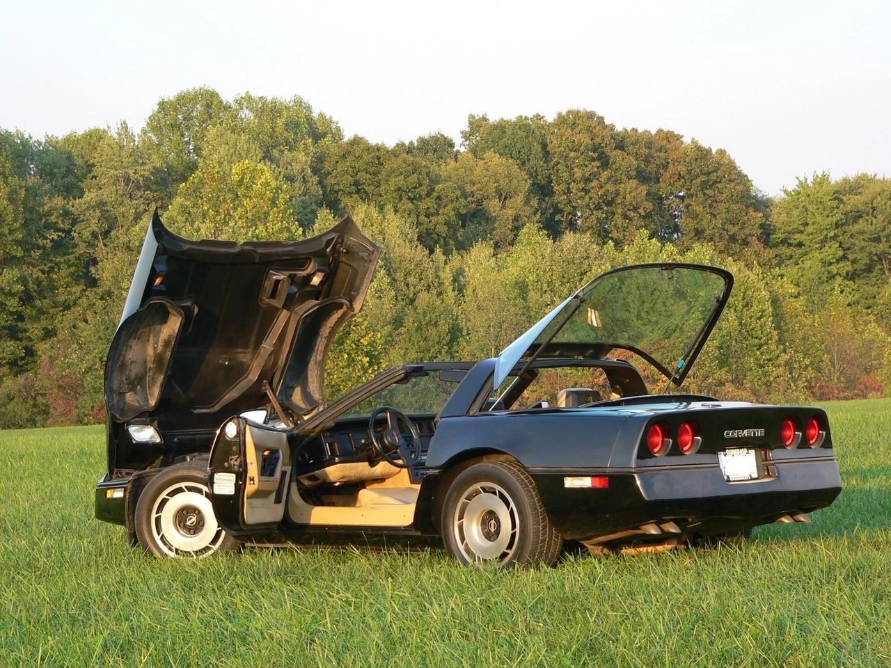 The 1984 Corvette was a considerable leap forward in the evolution of the brand.  Its clamshell hood made for easy access to the L83 engine, while the rear hatch (standard on all C4 models) provided easy access to the storage area behind the cockpit.